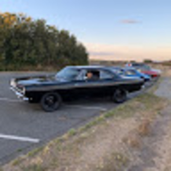 Meet your Posher, Amy - Picture 1 of 1